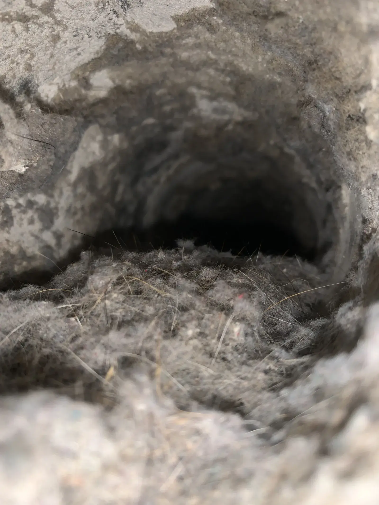 Dryer vent fire risk